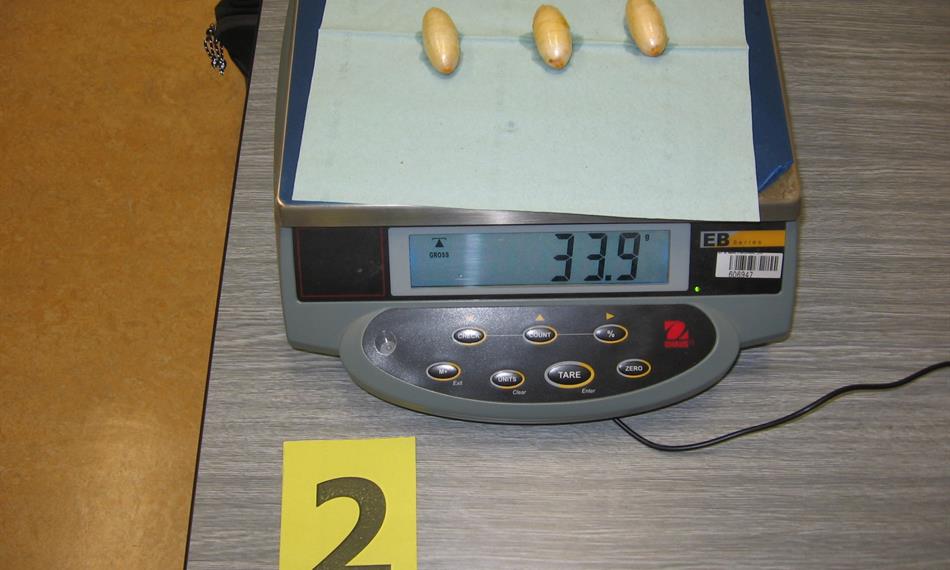 2014-2-24-1128foto 3.JPG